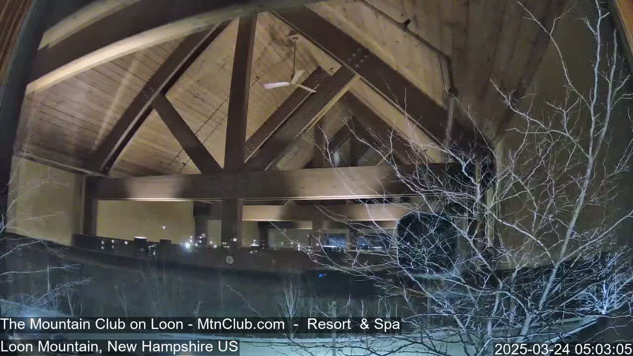 A nighttime view through a window shows a high-ceilinged interior with exposed wooden beams and a ceiling fan, partially obscured by bare branches of a tree outside covered in a light dusting of snow.
