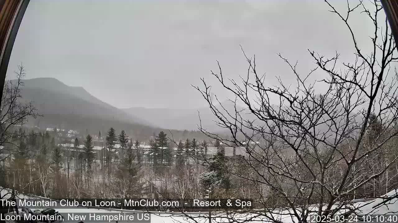 A snow-covered winter landscape is viewed through an arched window, showing bare trees, a village nestled in a valley, and distant mountains under a gray, overcast sky.