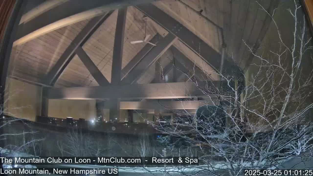 A nighttime view through a window shows a large, dimly lit interior space with a high, wooden beamed ceiling, and snow-covered branches outside.