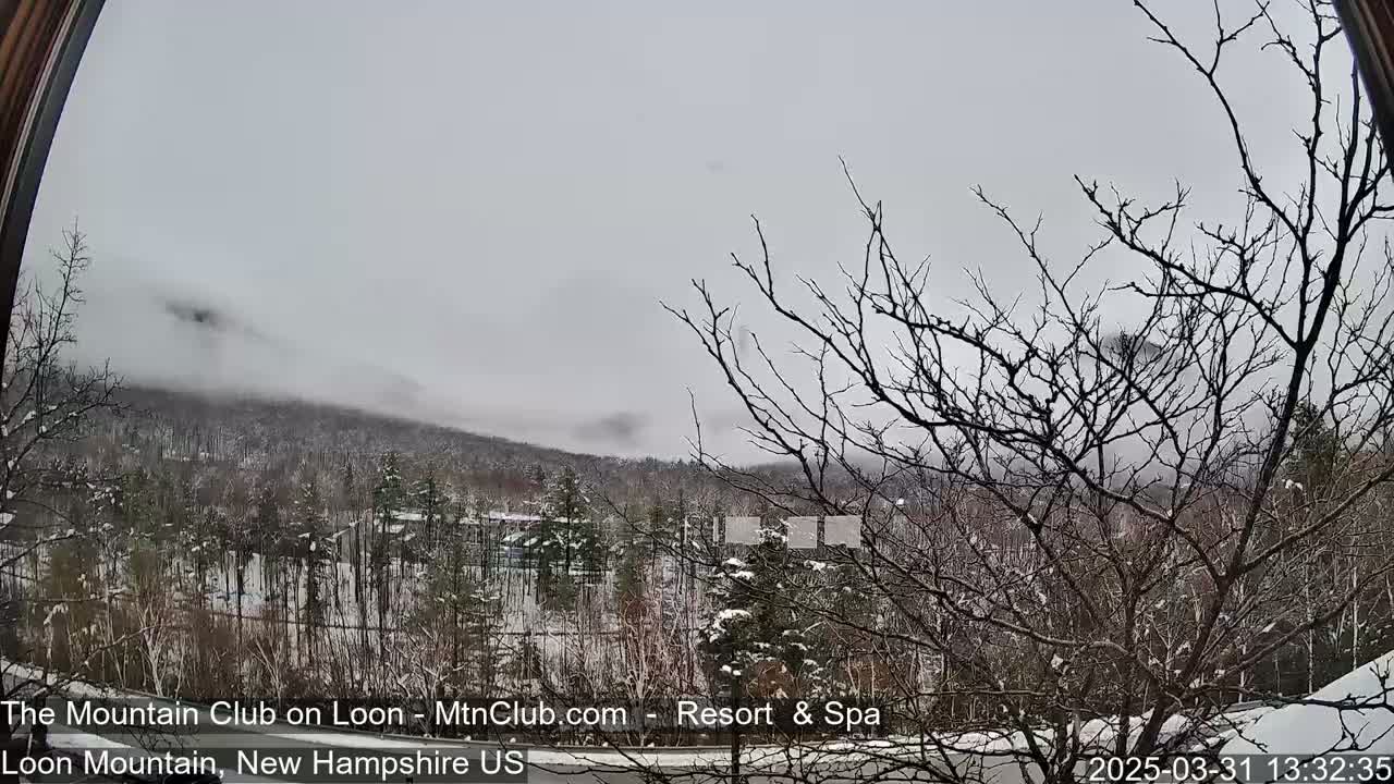 A snow-covered landscape with leafless trees in the foreground, and a mountain shrouded in fog in the background under an overcast sky.
