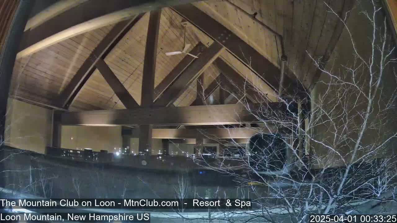 A nighttime view through a window shows a building's interior with a high wooden ceiling and exposed beams, partially obscured by bare branches outside.