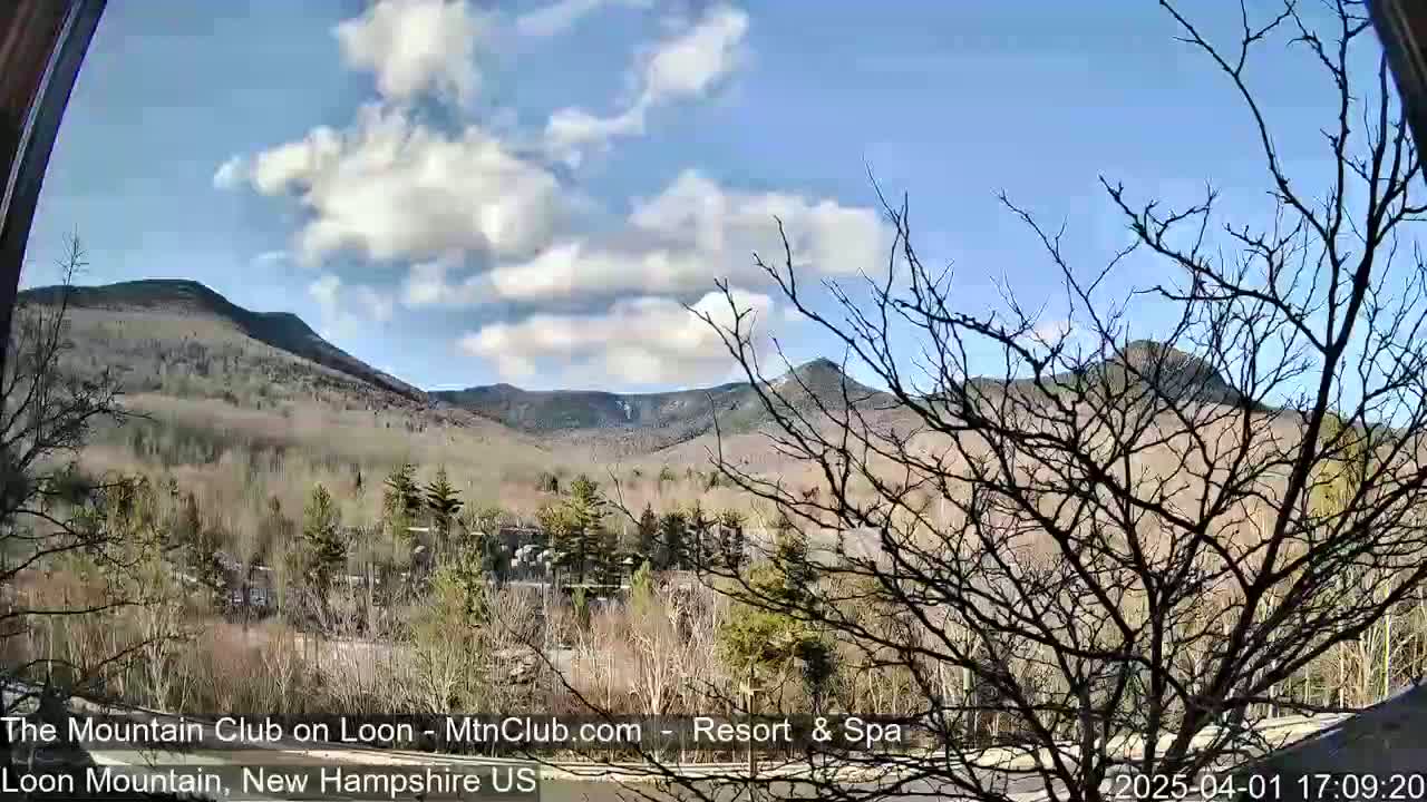 A partly cloudy blue sky overlooks a mountain range partially obscured by bare trees in the foreground.