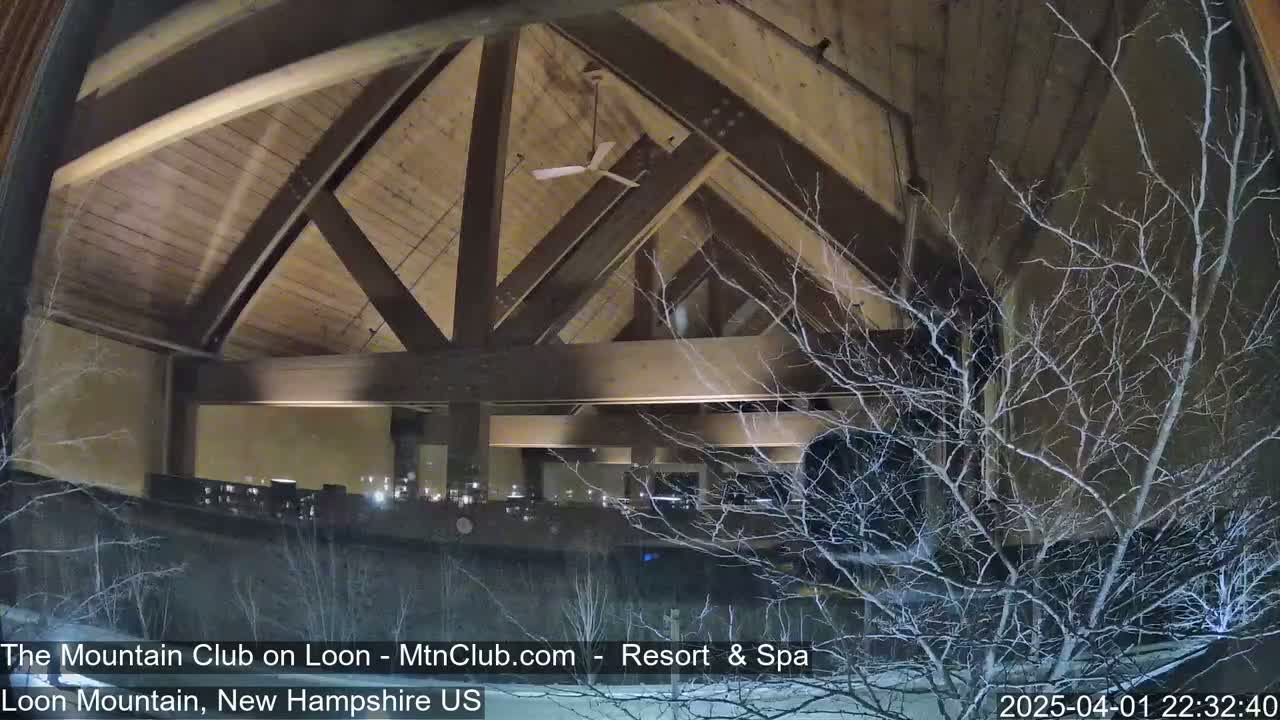A nighttime view through a window shows a building's interior with a wooden ceiling and exposed beams, partially obscured by snow-covered branches outside.