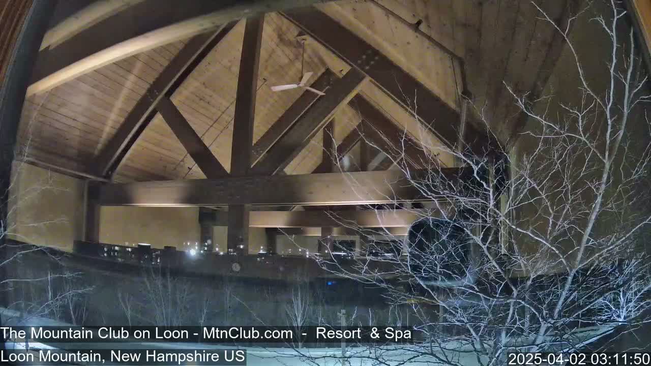 A nighttime view through a window shows a high-ceilinged interior space with exposed wooden beams and a ceiling fan, partially obscured by snow-covered branches.