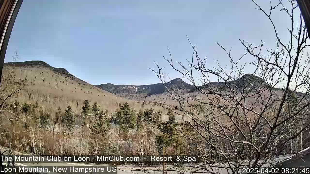 A view of bare, snow-dusted trees in the foreground, overlooking a mountain range under a clear blue sky.