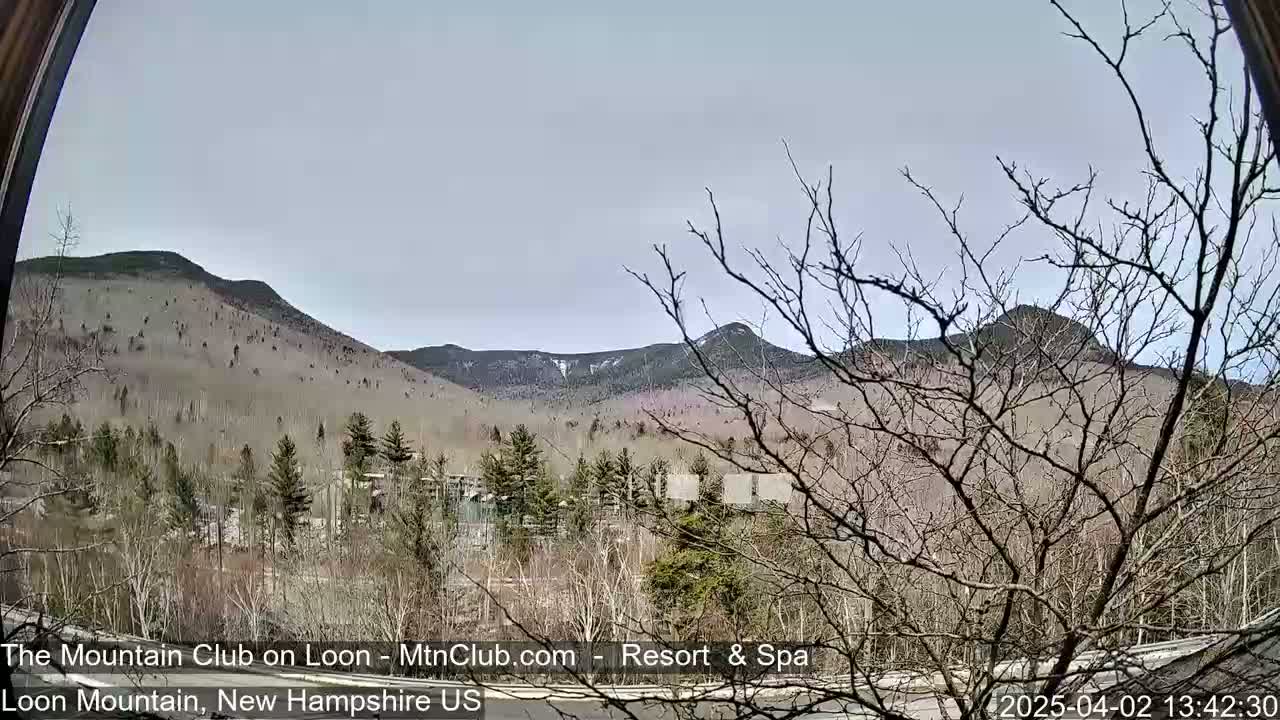 A mostly cloudy day reveals a mountain range partially covered in snow, viewed from behind bare trees and a wooded area in the foreground.