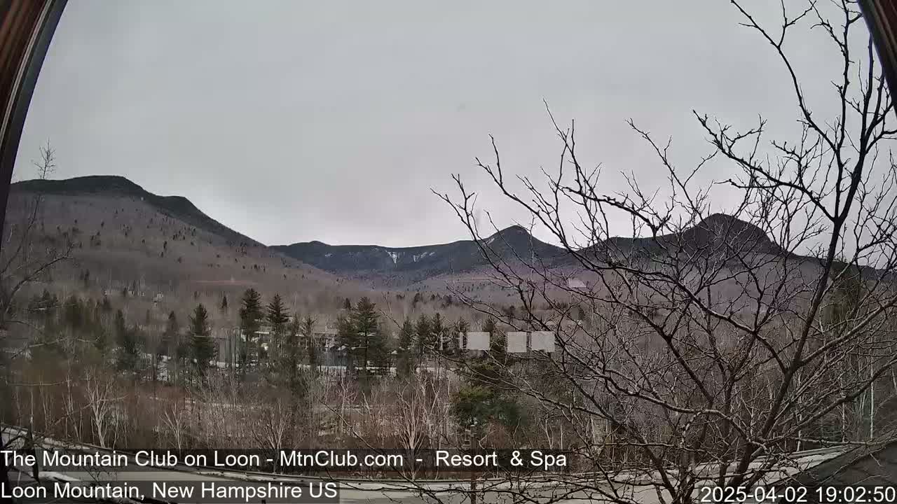 A view through a window shows bare trees in the foreground, a resort nestled among the trees, and distant mountains under a cloudy sky.