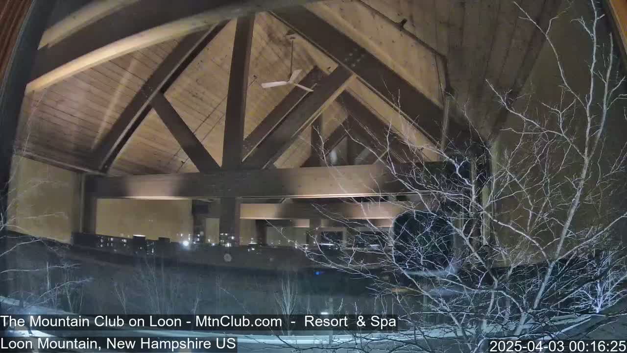 A nighttime view through a window shows a large, high-ceilinged room with exposed wooden beams and a ceiling fan, viewed over snow-covered bare branches.