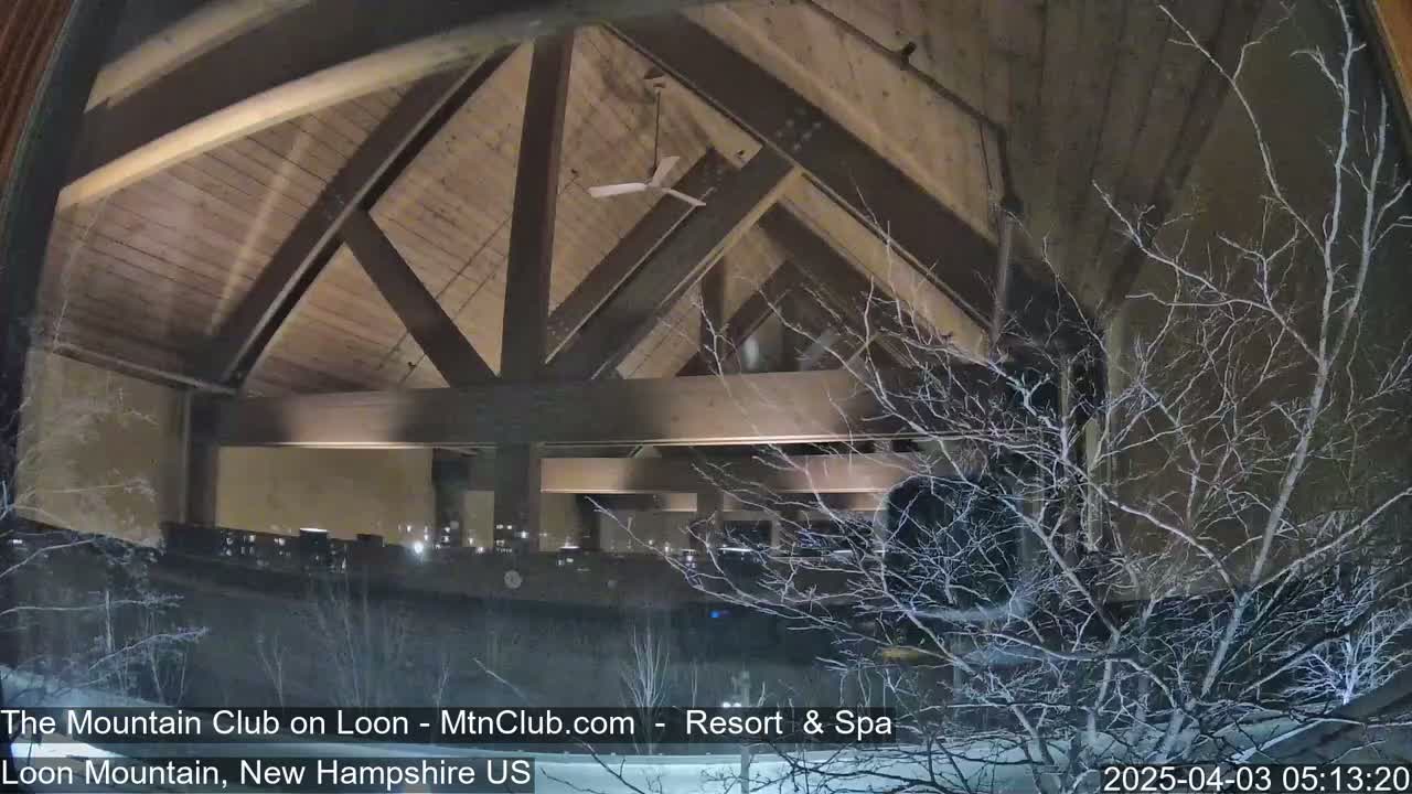A view through a window at night shows a building's interior with a high, wood-beamed ceiling and a ceiling fan, partially obscured by bare branches dusted with snow.