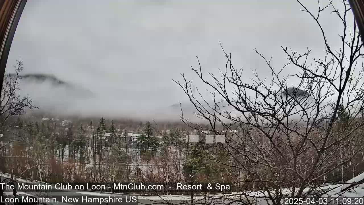 A foggy, snowy landscape is seen through a window, showing bare trees in the foreground and mountains shrouded in mist in the background.