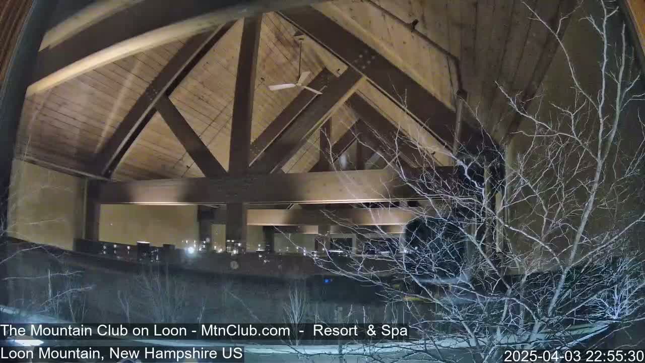 A nighttime view through a window shows a building's interior with a high, wood-beamed ceiling and a sparsely furnished interior, with snow falling outside and bare branches visible against the windows.