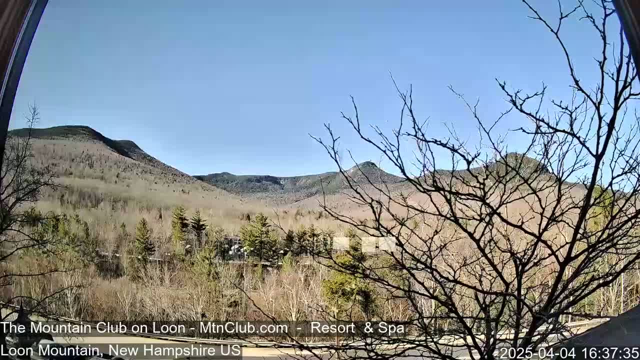A view of bare trees in the foreground, overlooking a mountain range under a clear blue sky.