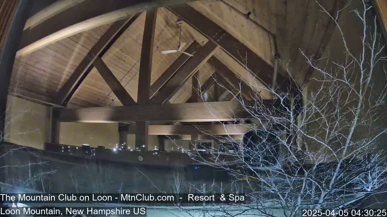 A nighttime view through a window shows a high-ceilinged interior space with exposed wooden beams and a ceiling fan, partially obscured by snow-covered branches outside.