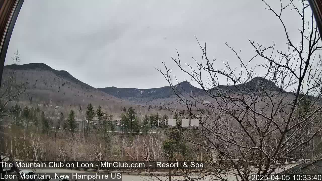 A view through a window shows bare trees in the foreground and a range of mountains in the background under an overcast sky.