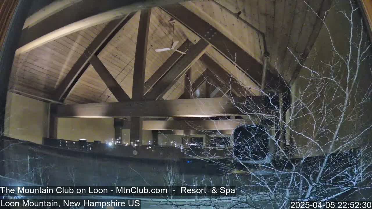 A nighttime view through a window shows a high-ceilinged interior with exposed wooden beams and a ceiling fan, partially obscured by snow-covered branches outside.