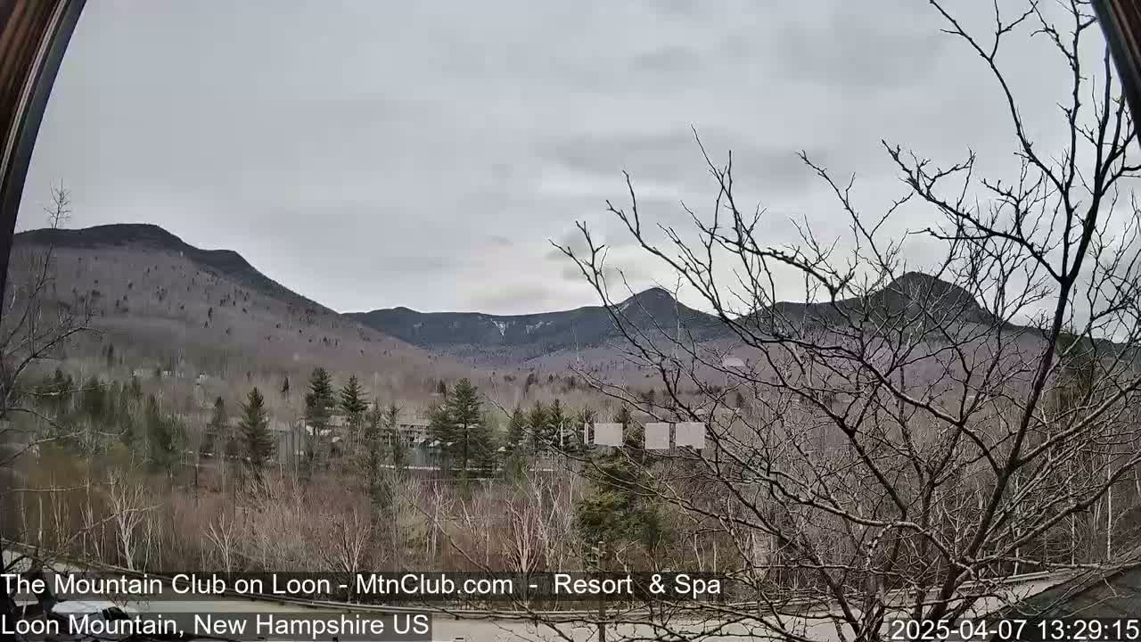 A view through a window shows a mountain range under an overcast sky, with bare trees in the foreground.