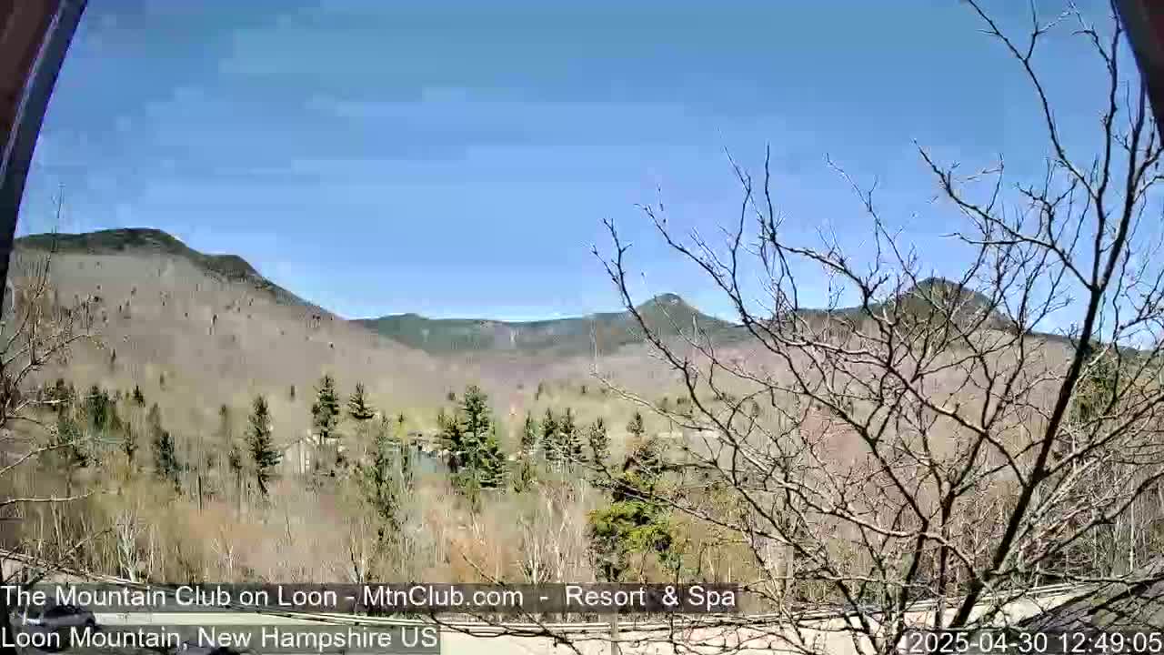 A view of a mountain range under a clear blue sky, with leafless trees and early spring vegetation in the foreground.