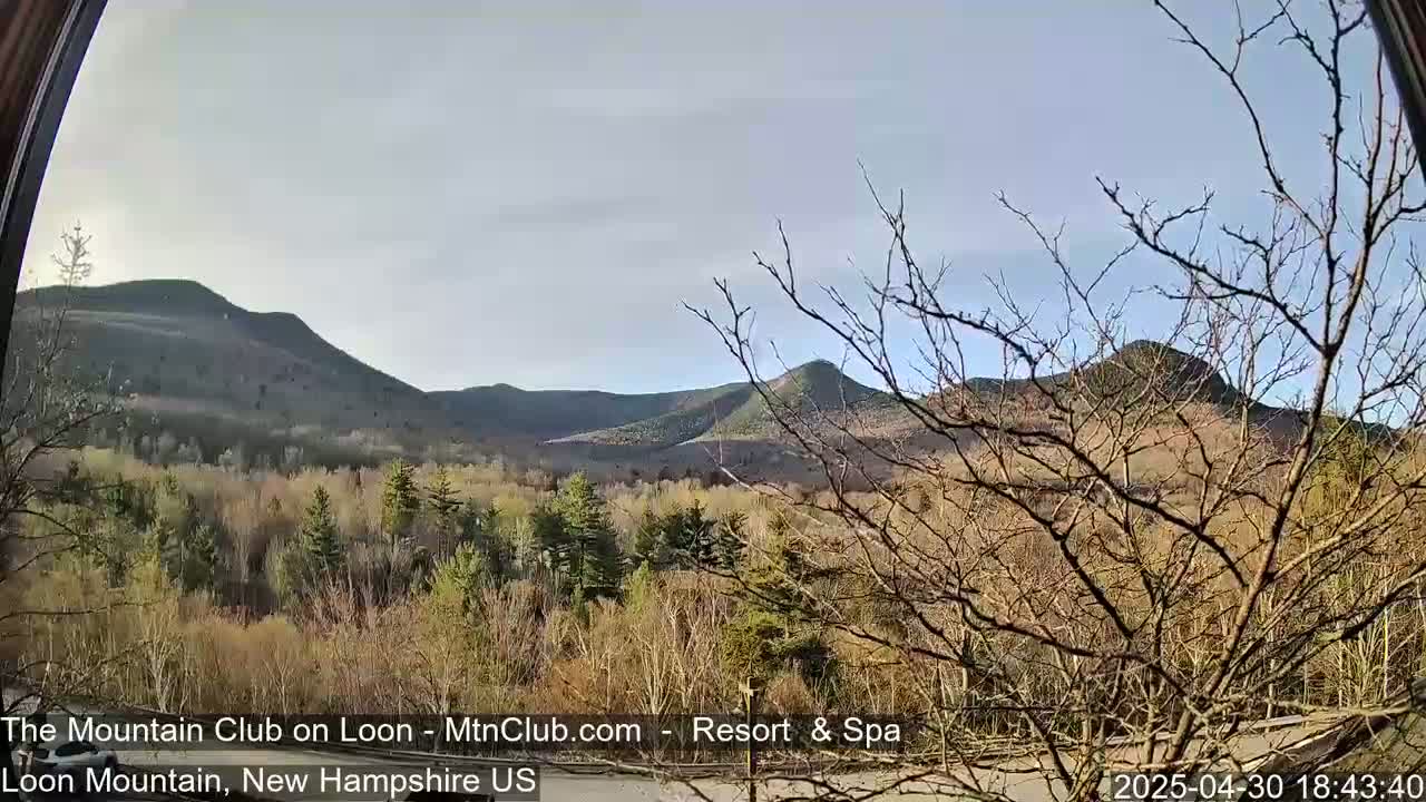 A view through a window shows bare trees in the foreground, with a range of low, dark-green mountains in the background under a mostly clear, light-blue sky.