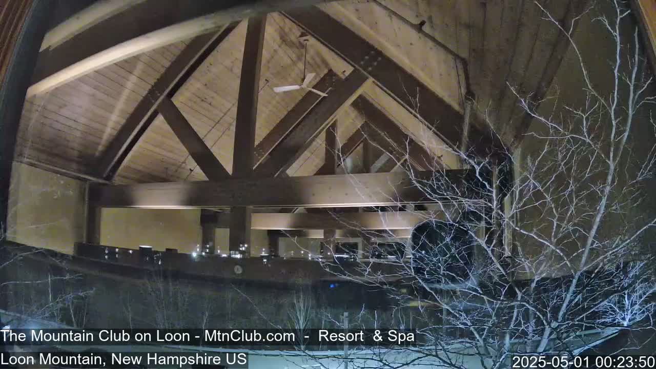 A nighttime view of a high-ceilinged interior space with exposed wooden beams and a ceiling fan, seen through a window with bare branches of a tree outside.