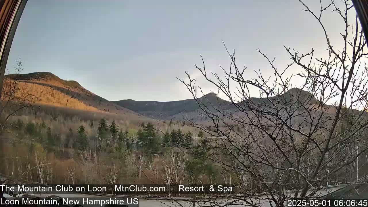 A clear, sunrise-lit view of several mountains covered in early spring vegetation, seen through a bare tree branch in the foreground.