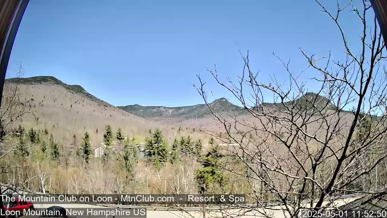 A view of bare trees in the foreground and mountains in the background under a clear blue sky.