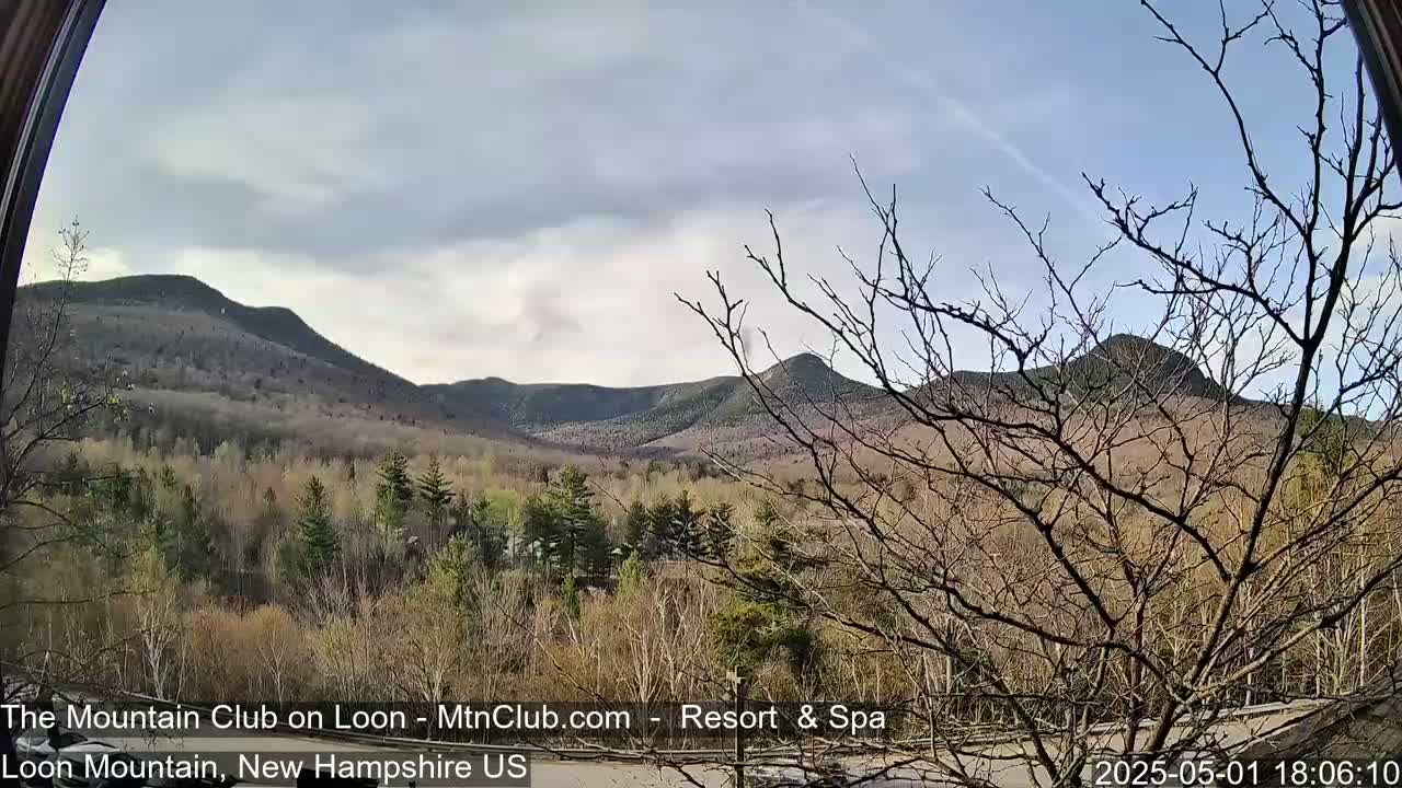 A view through a window shows bare trees in the foreground, overlooking a partly cloudy sky and distant mountains with early spring foliage.