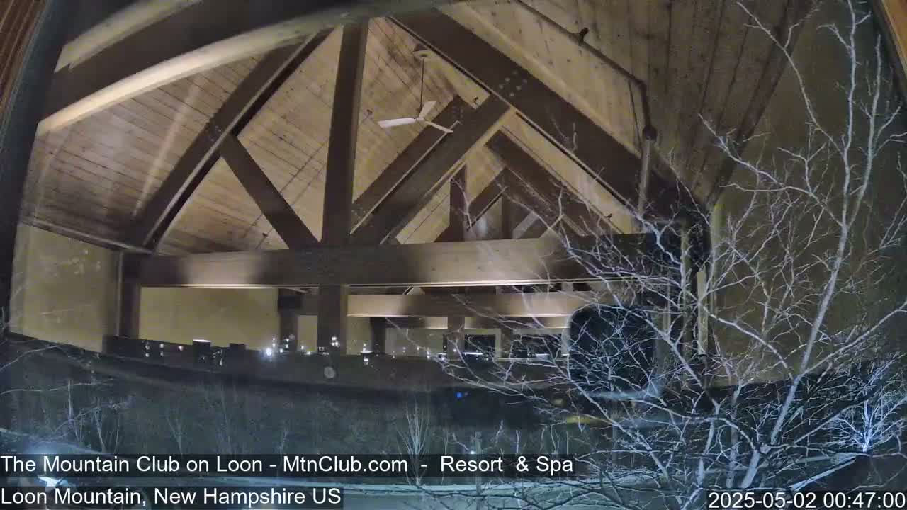 A nighttime view through a window shows a large, wood-beamed interior space with a ceiling fan, partially obscured by snow-covered branches outside.