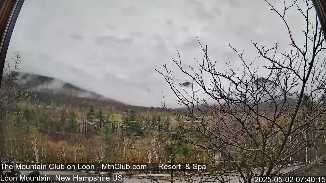 A view through a window shows a cloudy, overcast day with fog partially obscuring a mountain range and surrounding spring foliage.