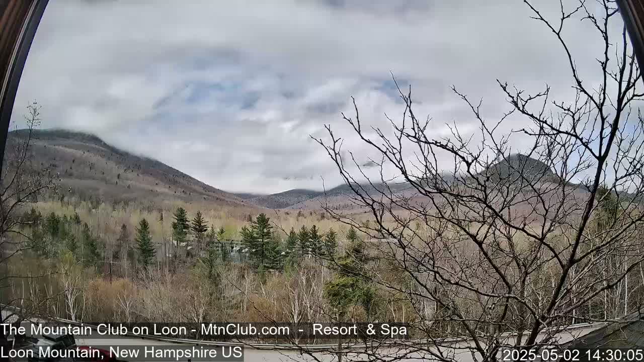 A cloudy day reveals a view of partially snow-capped mountains and budding trees, seen from behind bare branches.