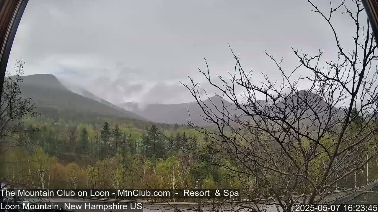 A view through a window shows a misty, overcast sky over mountains and a forest of spring green trees and bare branches.