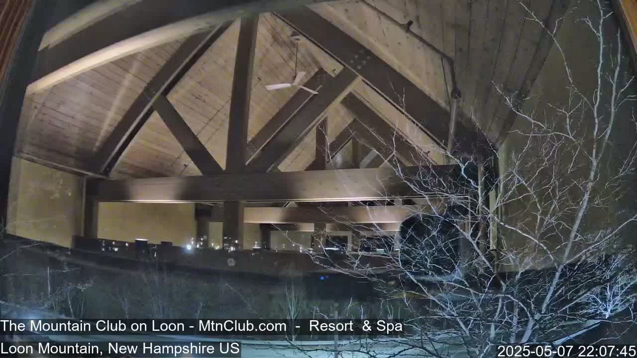A nighttime view through a window shows a building's interior with a high, exposed-beam ceiling, a ceiling fan, and dimly lit furniture, partially obscured by bare branches of a tree outside covered in a light dusting of snow.