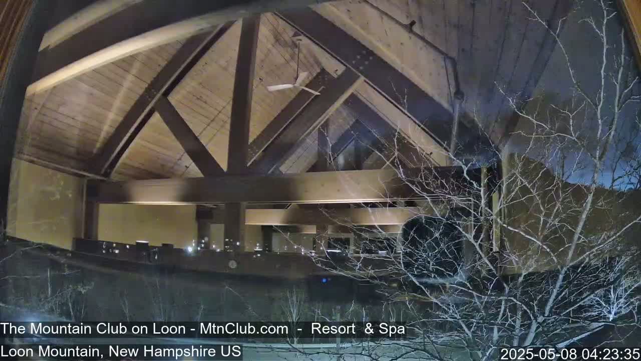 A nighttime view through a window shows a high-ceilinged interior space with exposed wooden beams and a ceiling fan, partially obscured by bare branches of a tree outside.