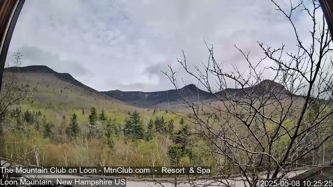 A view through a window shows a partly cloudy sky over mountains and a forest with early spring foliage.