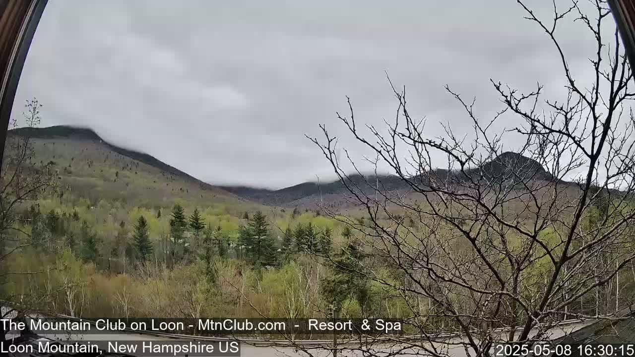 A view through a window shows a cloudy sky over a valley of spring green trees and low-lying mountains partially obscured by fog.