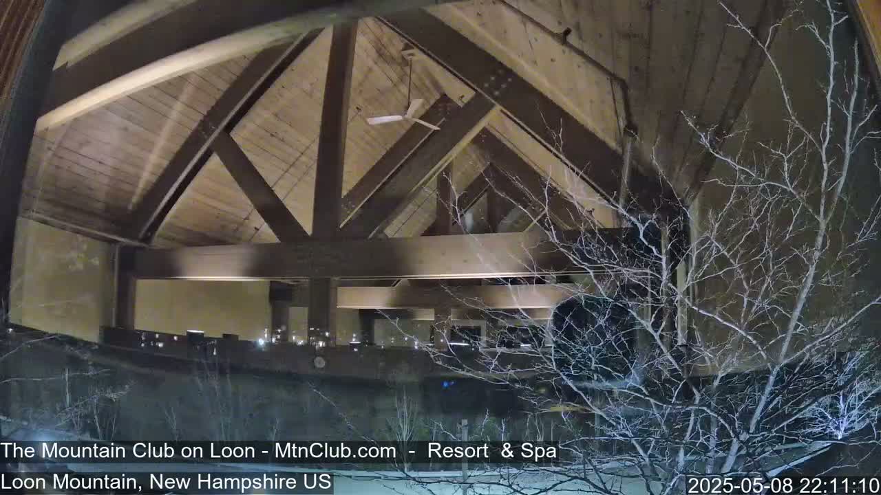 A nighttime view through a window shows the interior of a building with a high, wood-beamed ceiling and a ceiling fan, partially obscured by bare branches of a tree outside in the snow.