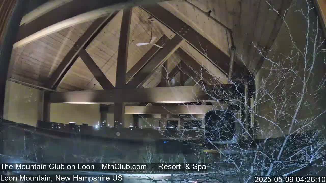 A nighttime interior view of a building with a high, wood-beamed ceiling and a ceiling fan, partially obscured by bare branches outside a window.