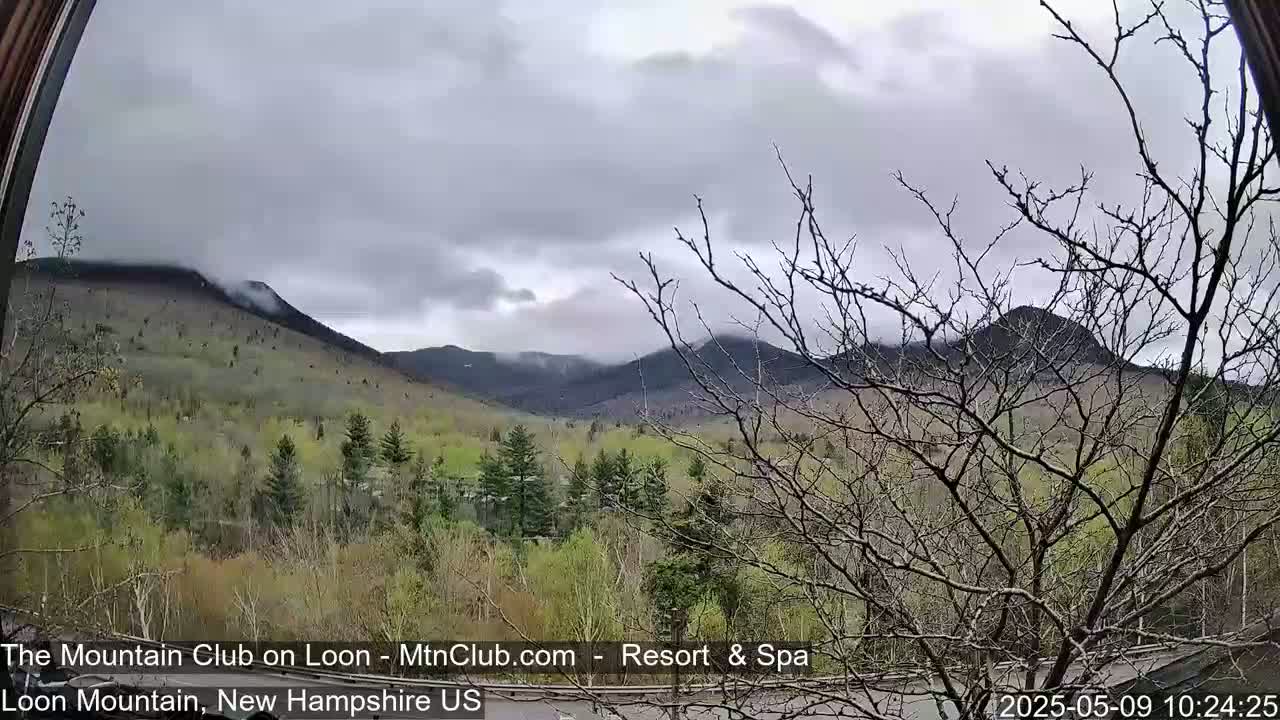 A view through a window shows a partly cloudy day with mountains in the distance, partially obscured by fog, and spring foliage in the foreground.
