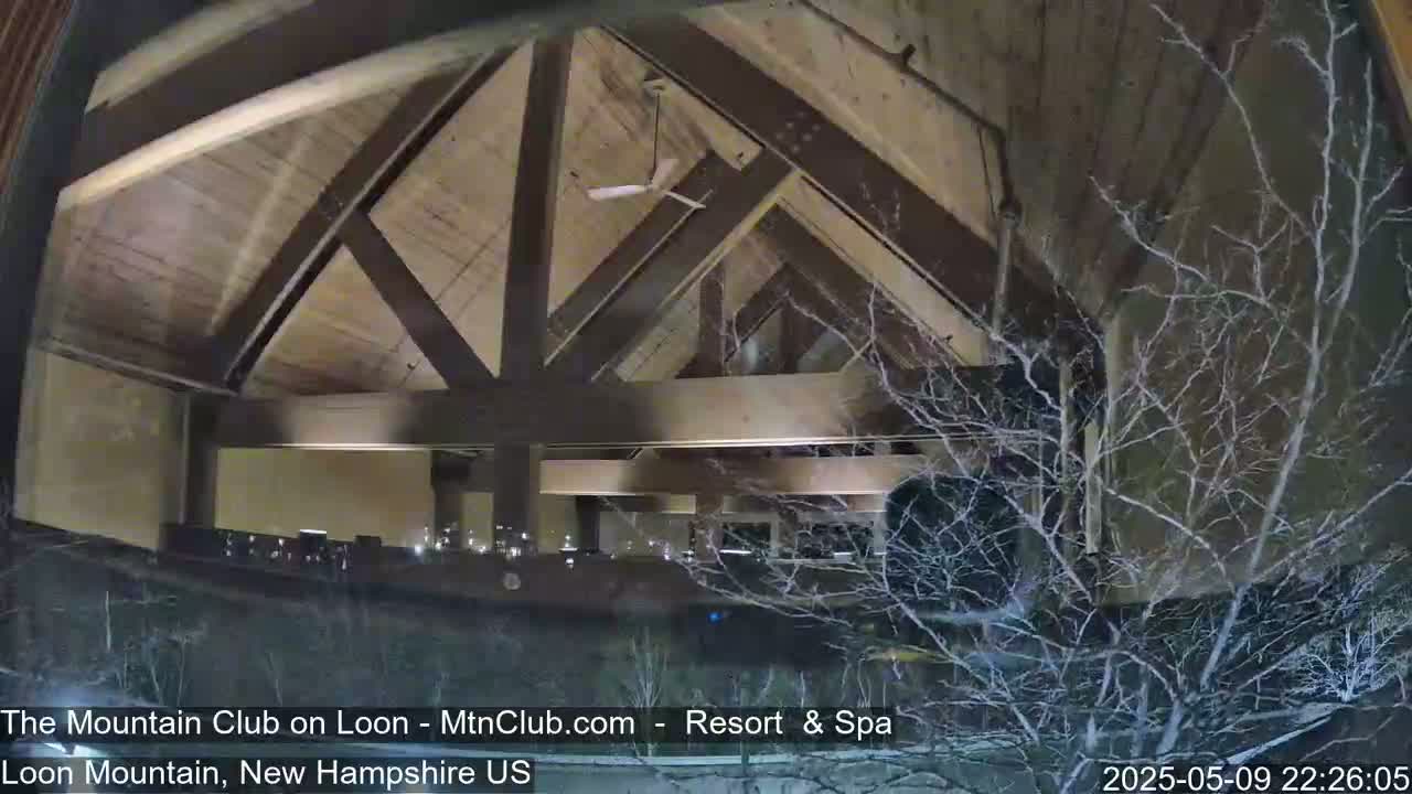 A nighttime view from inside a building shows a large, sloped wooden ceiling and bare tree branches outside a window.