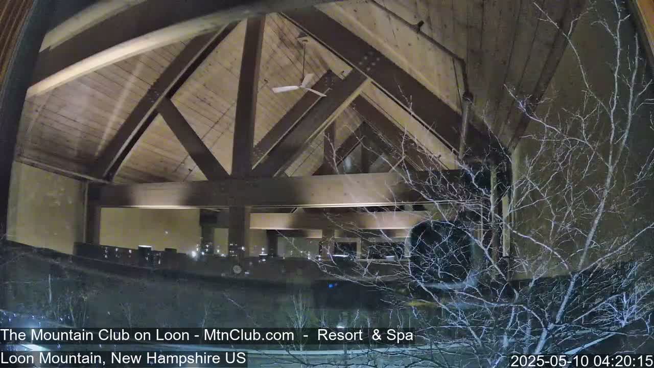 A snow-covered, bare tree branch is visible outside a large window looking into a room with a wooden, high-ceilinged interior and a ceiling fan.