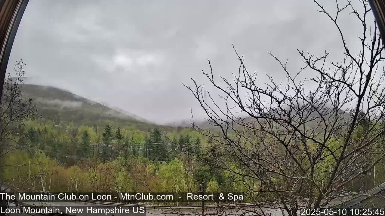 A misty, overcast view of a mountainous landscape with green trees in the foreground, seen through a window.