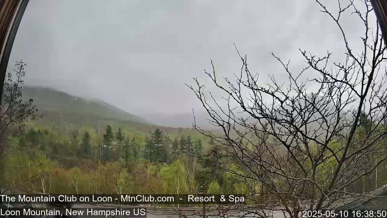 A hazy, overcast view of a green mountain range and budding trees is seen through a window.