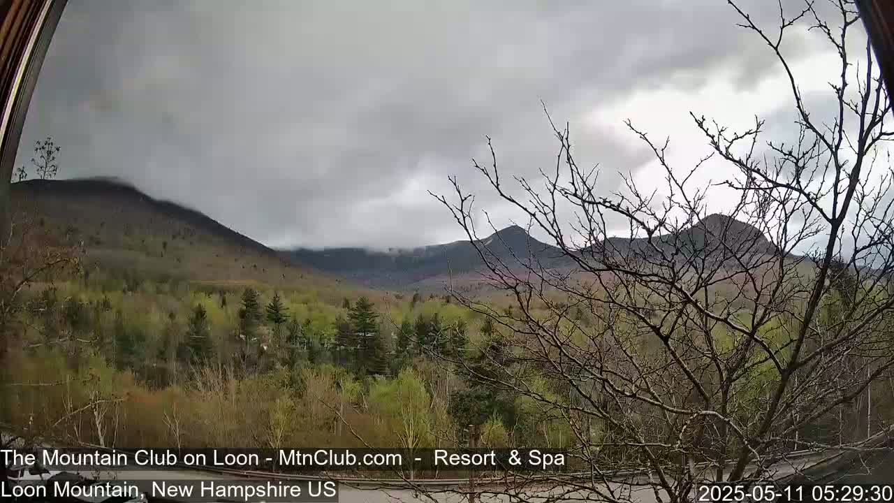 A view of mountains partially obscured by clouds and mist, framed by bare branches of a tree, overlooking a landscape of budding green trees.