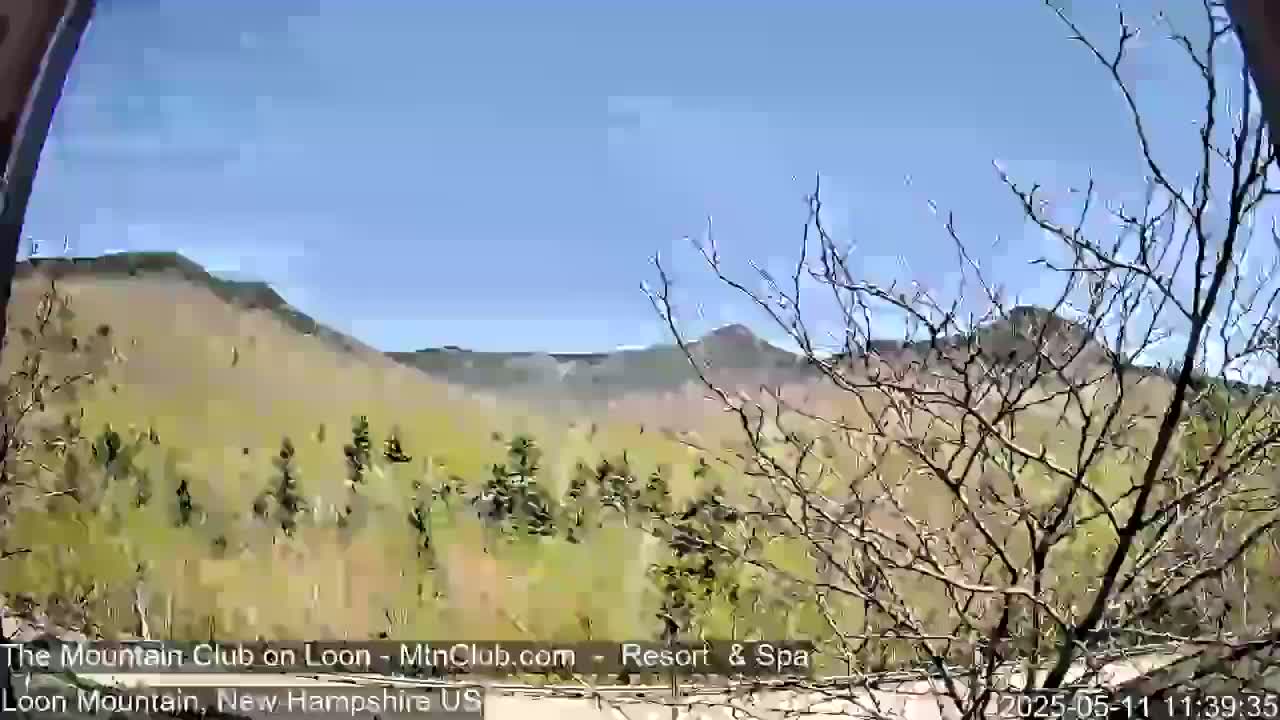 A mostly sunny view of a mountain range and forest, seen through bare branches in the foreground.