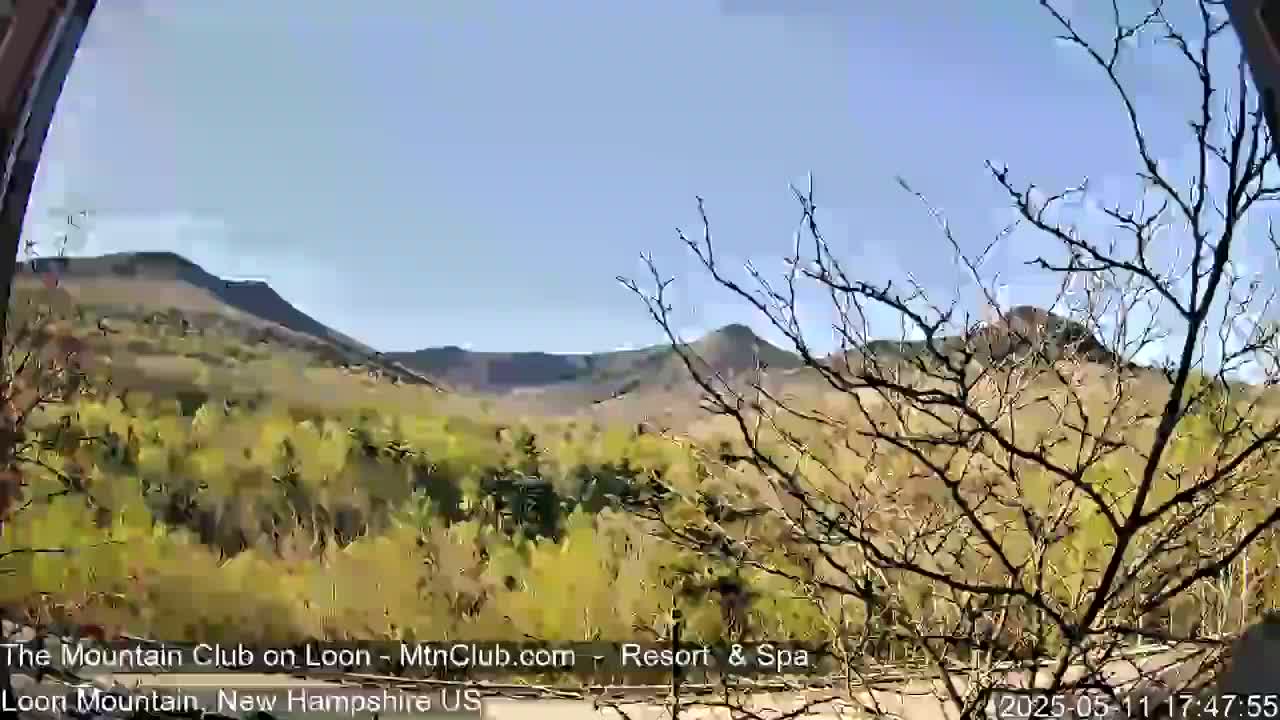 A view of distant, tree-covered mountains on a clear, sunny day, partially obscured by bare branches in the foreground.