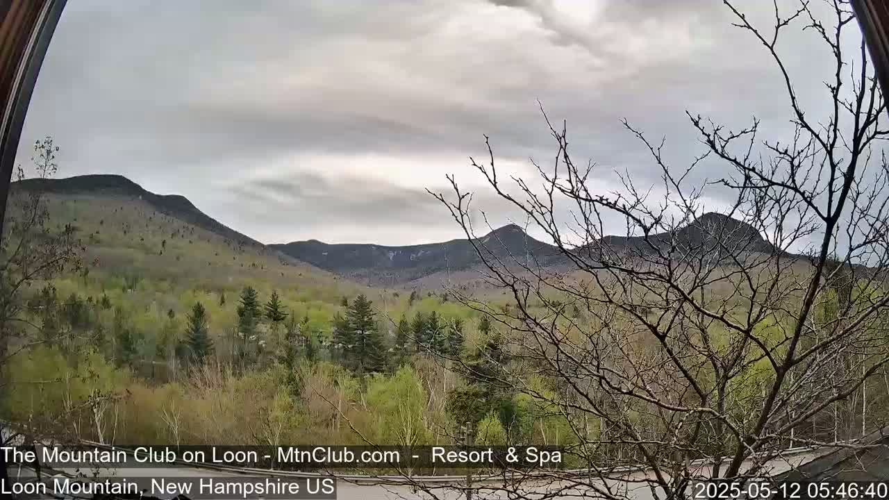 A view through a window shows a range of mountains under an overcast sky, with budding trees in the foreground.