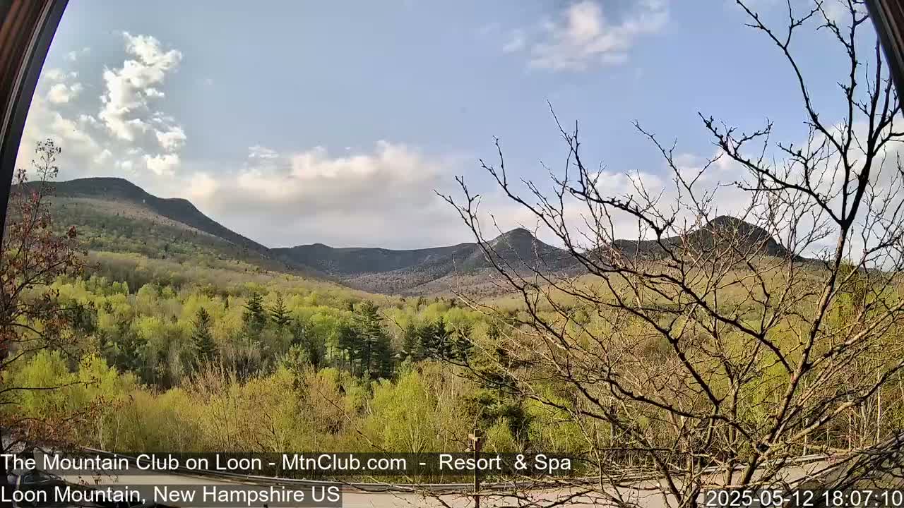 A partly cloudy day reveals a view of several mountains, partially obscured by bare trees in the foreground, and a lush forest of early spring foliage.