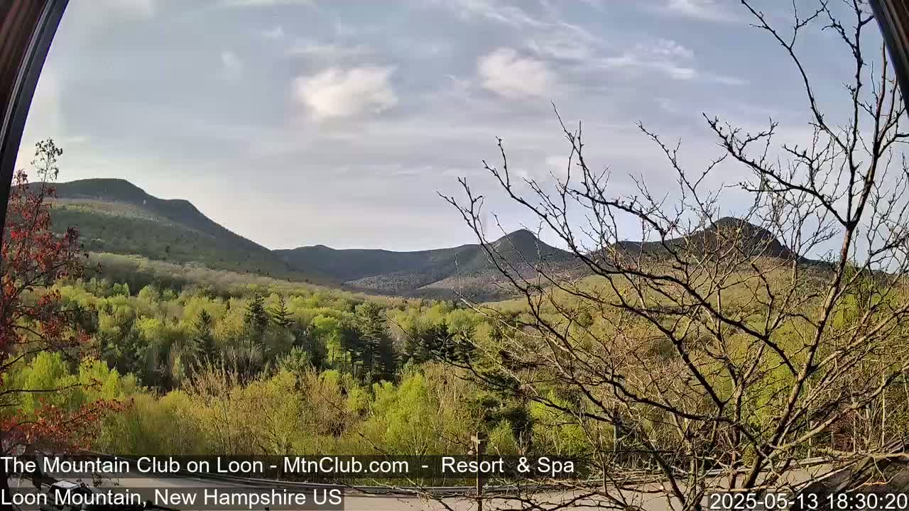 A view through a window shows a partly cloudy sky over green, spring foliage and distant, dark-colored mountains.