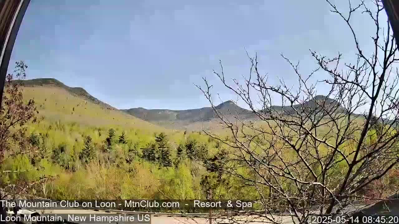 A view of mountains and budding trees under a clear blue sky.