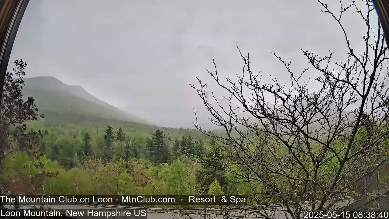 A misty, overcast view shows a mountain range partially obscured by fog, with a foreground of deciduous trees budding in spring.