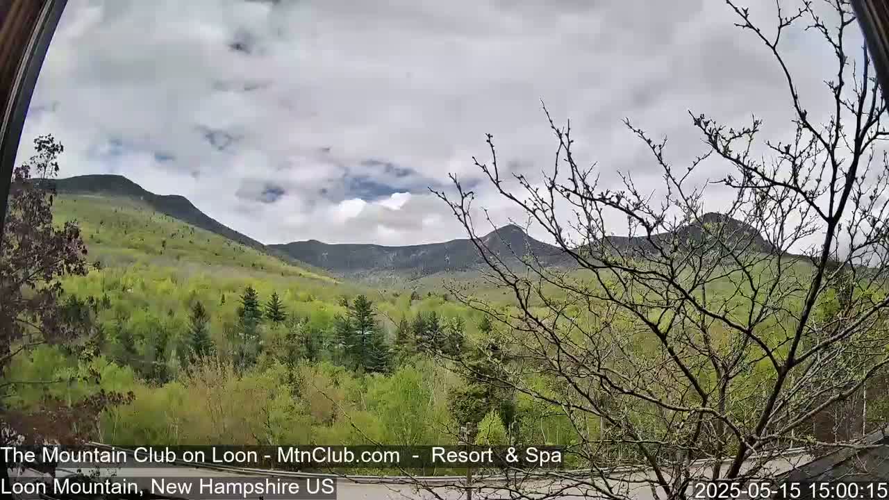 A view through a window shows a partly cloudy sky over lush green mountains and budding trees.